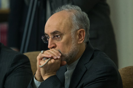 علی اکبر صالحی رئیس سازمان انرژی اتمی در جلسه هیئت دولت